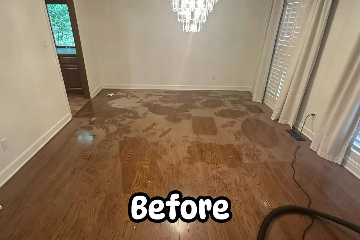 74923dee-a680-4f89-9557-b5d4325a1856-696375433f7d9